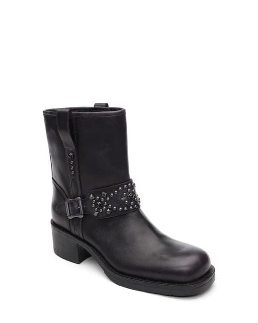 Ash Black Tequila Moto Bootie
