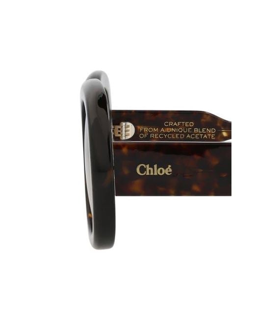 Chloé Multicolor 54Mm Square Sunglasses