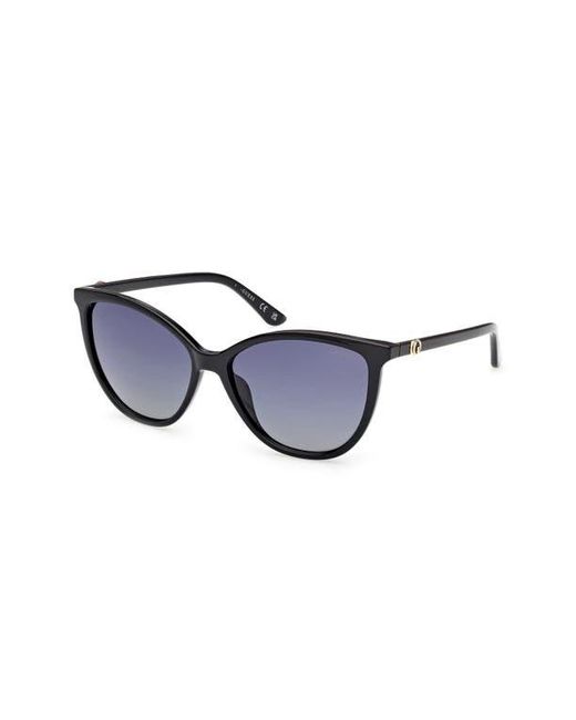Guess Blue Cat Eye Sunglasses for men