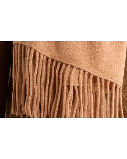 Portolano Brown Solid Cashmere Wrap