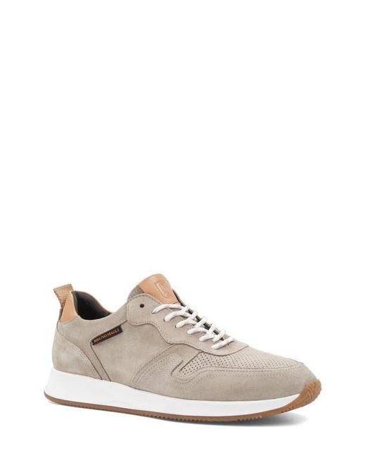 Bruno Magli Gray Capri Sneaker for men