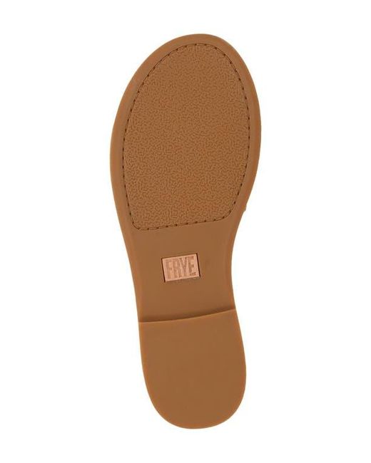 Frye Brown Ava Slide Sandal