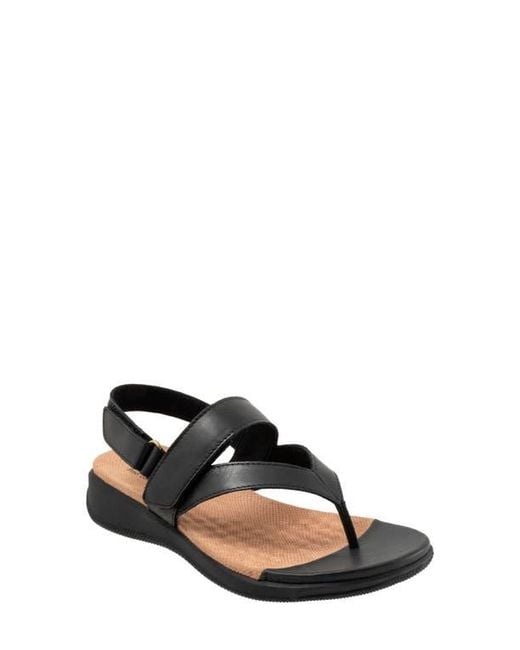 Softwalk® Black Tracy Slingback Sandal