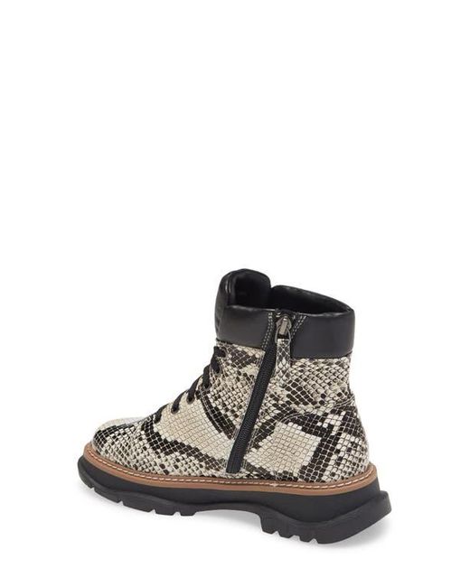 Linea Paolo Multicolor Boca Lace-Up Boot
