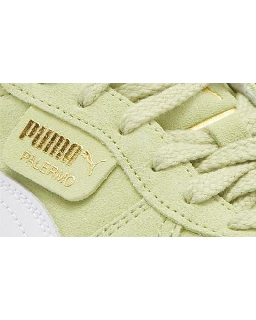 PUMA Yellow Palermo Elevata Platform Sneaker