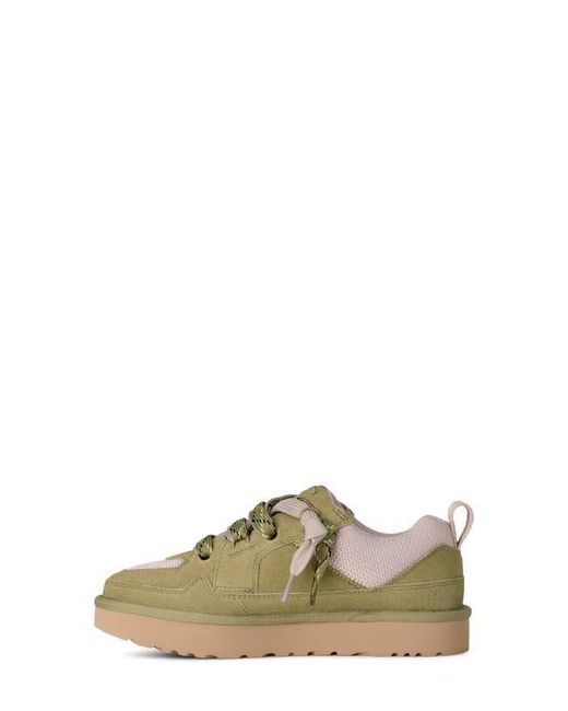 Ugg Multicolor Lo Lowmel Sneaker