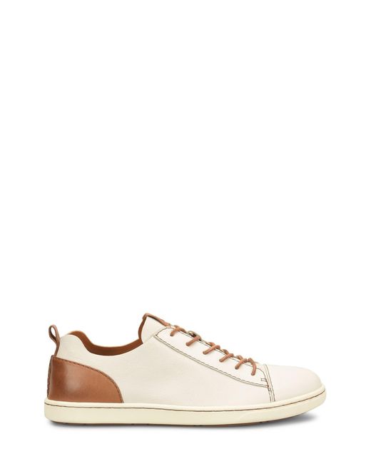 Børn Leather Born Allegheny Luxe Lace-up Sneaker In White/brown F/g At  Nordstrom Rack for Men | Lyst