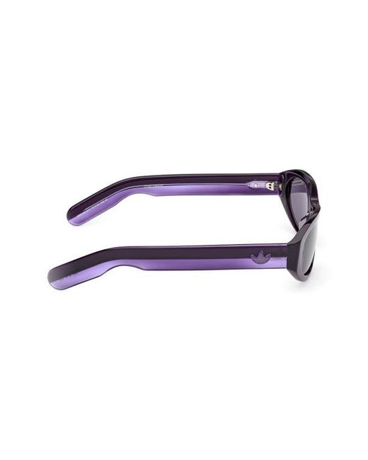 Adidas Purple Oval Sunglasses for men