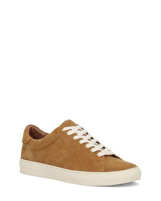 Frye Brown Astor Court Low Top Sneaker for men