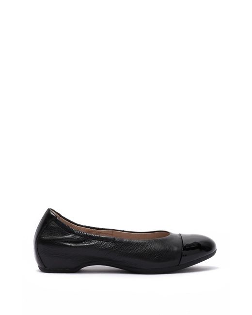 dansko lisanne black