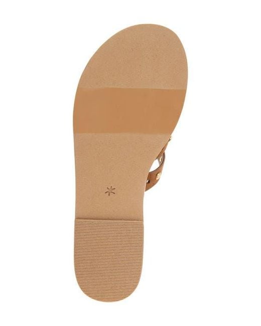 Splendid Brown Simon Studded Slide Sandal