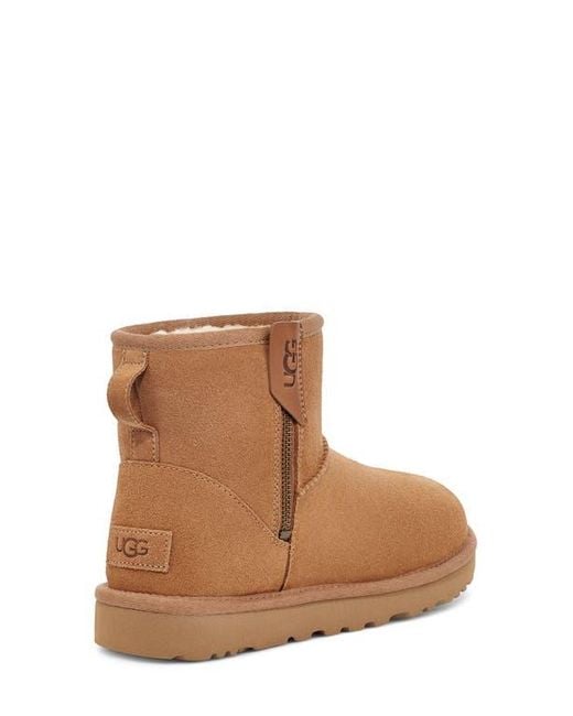 Ugg Brown Classic Mini Bailey Zip Boot