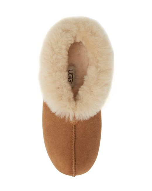 ugg roo slipper