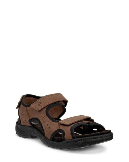 Ecco Brown Hike Sandal for men