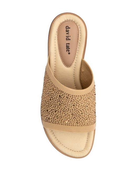 David Tate Multicolor Premium Slide Sandal
