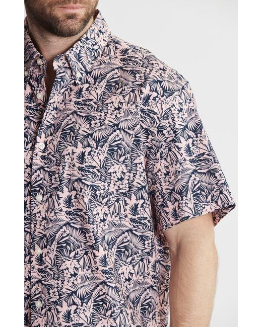 Jachs New York Multicolor Bay Stretch Oxford Short Sleeve Shirt for men