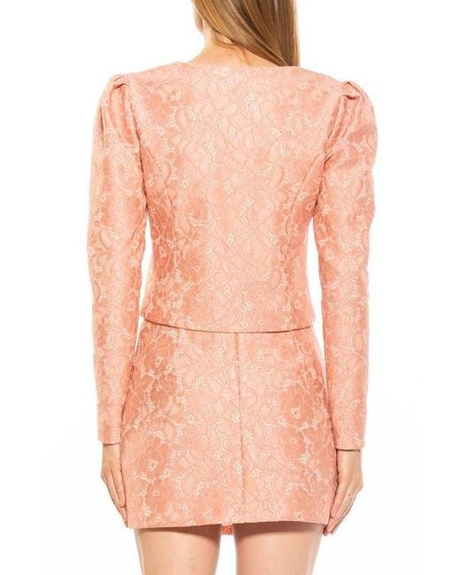 Alexia Admor Pink Rowan Lace Jacket
