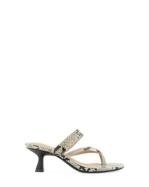 Esprit Metallic Elian Toe Loop Sandal