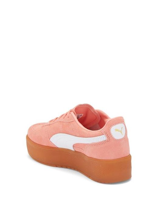 PUMA Pink Palermo Elevata Platform Sneaker