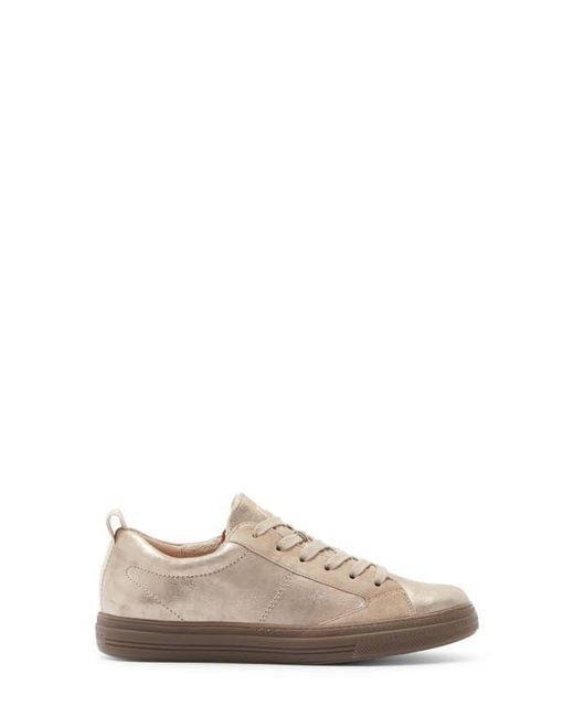 Paul Green Multicolor Capri Sneaker