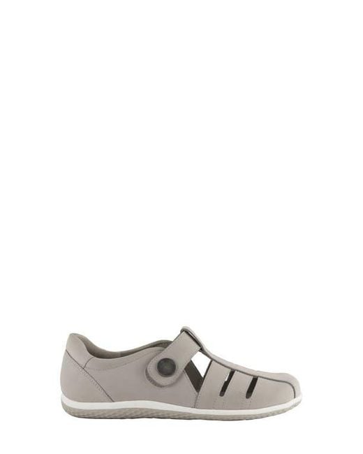 David Tate Gray Optic Flat