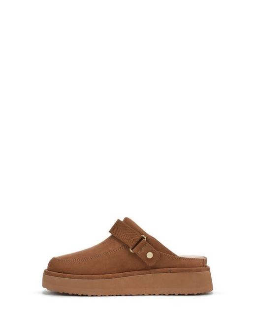 Dr. Scholls Brown Chill Time Clog