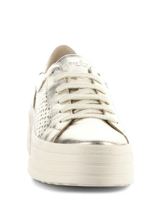Bos. & Co. White Lotta Platform Sneaker