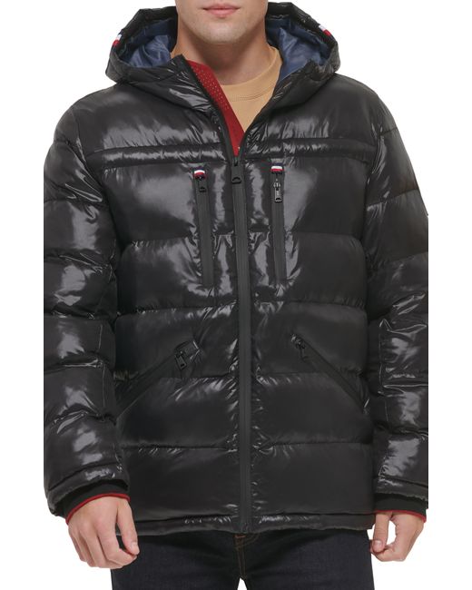 Tommy hilfiger pearlized puffer coat new arrivals