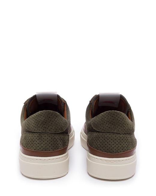 P448 Brown Soho Perforated Sneaker for men