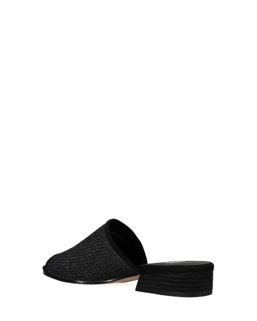 Eileen Fisher Black Noko Raffia Slide Sandal