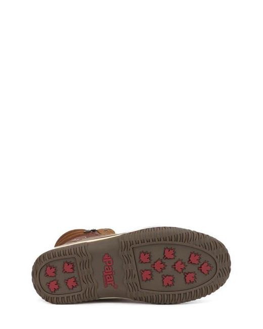 Pajar Brown Trooper 2.0 Waterproof Boot for men