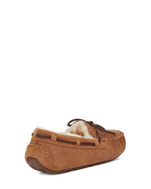 Ugg Brown Dakota Slipper