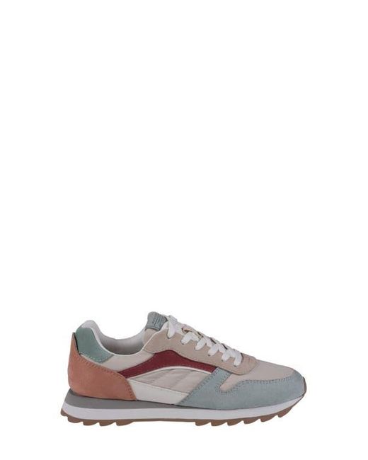 Good Choice New York Gray Samba Sneaker