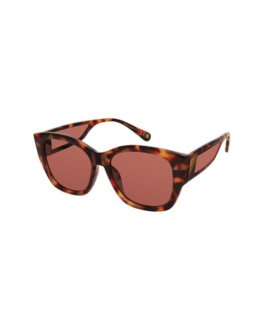 Vince Camuto Brown Cat Eye Sunglasses