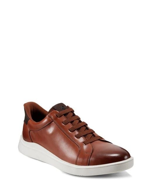 Rockport Brown Tynnar Sneaker for men