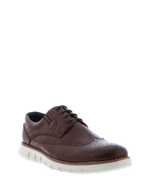 zanzara roman brogue derby