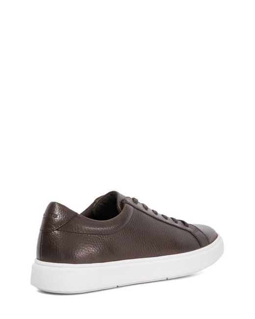 Dune Brown Tais for men