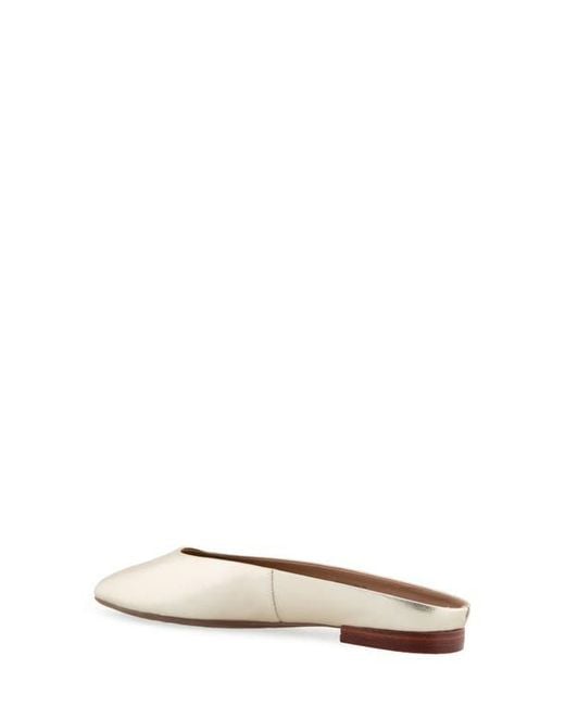 Aerosoles Multicolor Amara Mule