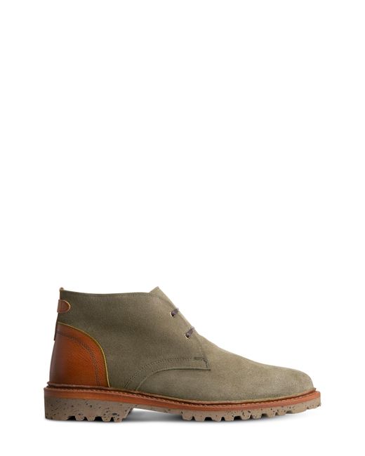 allen edmonds surrey chukka