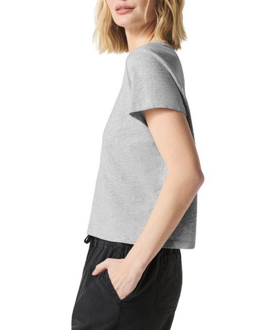 Splendid Gray Lousia Short Sleeve T-Shirt