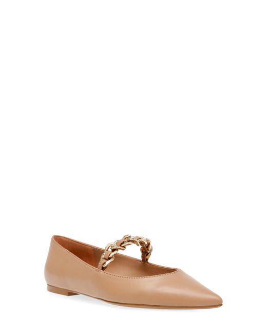 Steven New York Brown Milla Pointed Toe Flat