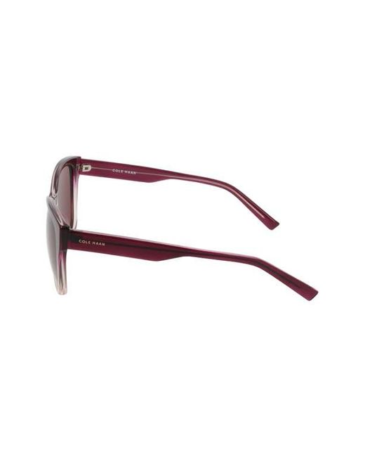 Cole Haan Purple 57Mm Modified Square Sunglasses for men