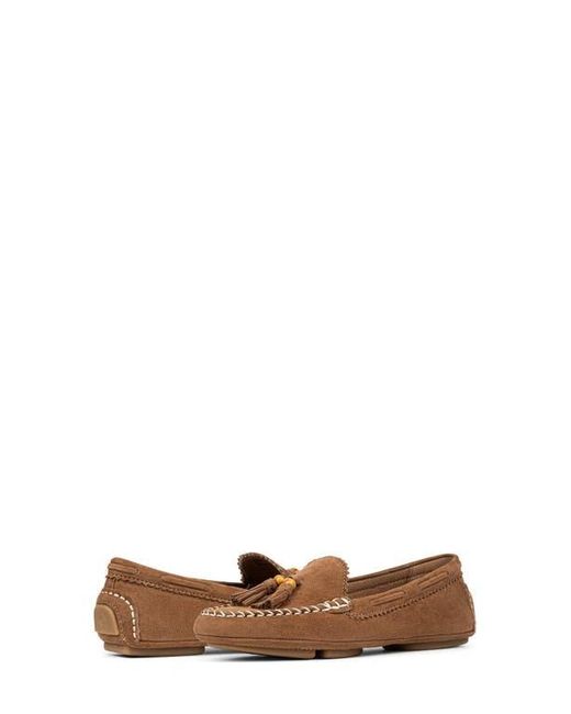 Donald J Pliner Brown Tassel Driver