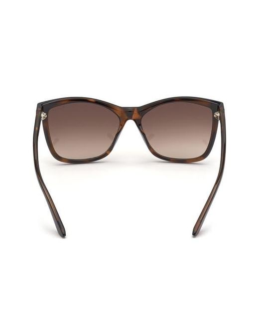 Guess Brown Square Sunglasses for men