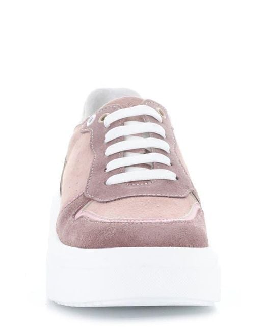 Bos. & Co. Pink Fulton Colorblock Platform Sneaker