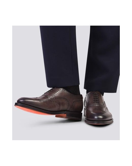 Santoni Brown Enrico Brogue Wingtip Oxford for men
