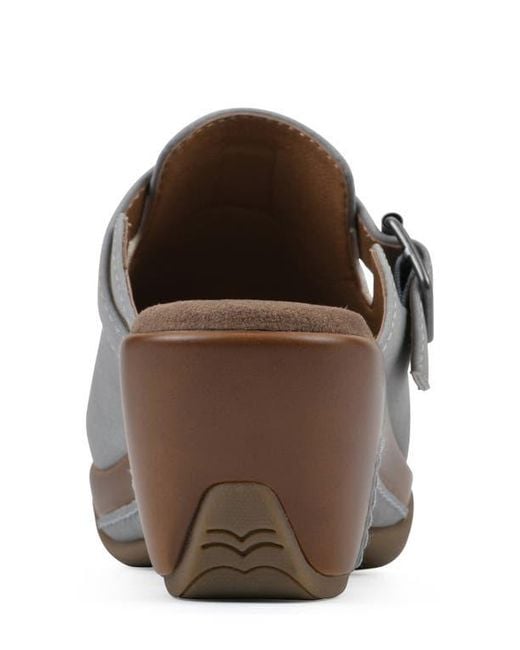 White Mountain Gray Viewed Mule
