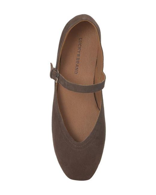 Lucky Brand Brown Albajane Flat