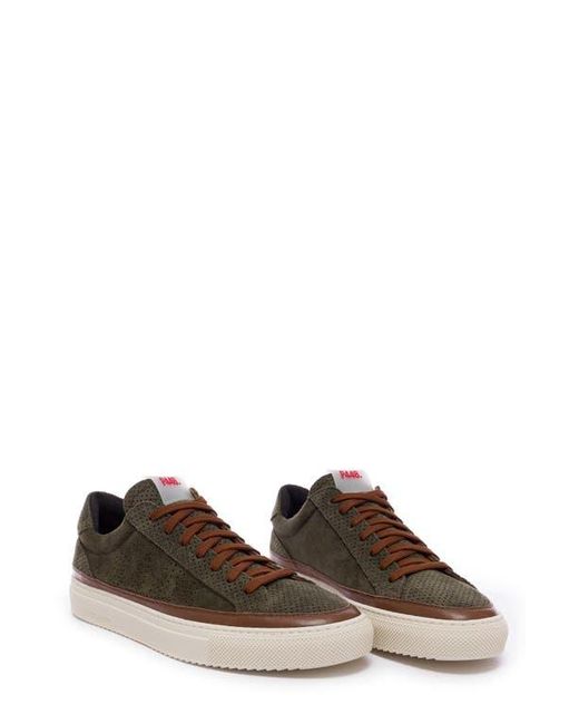 P448 Brown Soho Perforated Sneaker for men