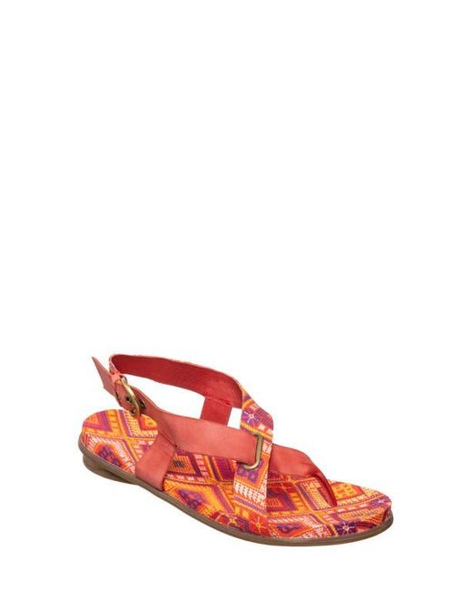 Antelope Red Rey Slingback Sandal